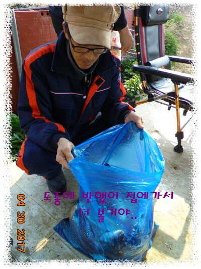 도심속의 작은 쉼터 화성 관리 낚시터입니다 (유료터정보 - 유료터점주조황)