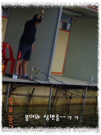 도심속의 작은 쉼터 화성 관리 낚시터입니다 (유료터정보 - 유료터점주조황)