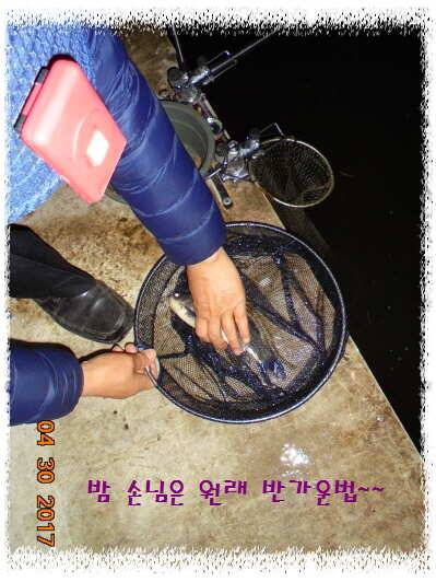 도심속의 작은 쉼터 화성 관리 낚시터입니다 (유료터정보 - 유료터점주조황)