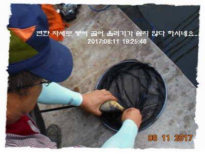 도심속의 작은 쉼터 화성 관리 낚시터입니다밤 조황 대단 합니다 (유료터정보 - 유료터점주조황)