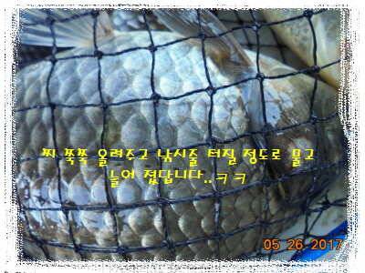 도심속의 작은 쉼터 화성 관리 낚시터입니다역시 밤 입니다 (유료터정보 - 유료터점주조황)