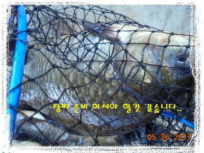 도심속의 작은 쉼터 화성 관리 낚시터입니다역시 밤 입니다 (유료터정보 - 유료터점주조황)