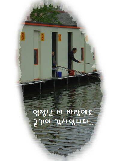 도심속의 작은 쉼터 화성 관리 낚시터입니다 (유료터정보 - 유료터점주조황)