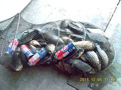 fish_pay_24a34_120416_26448.jpg