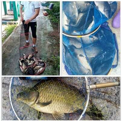 fish_pay_18e29_034418_61471.jpg