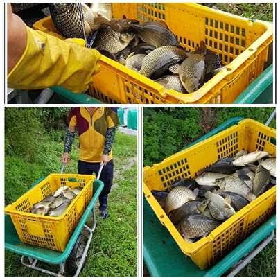 fish_pay_799ba_034352_70921.jpg