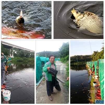 fish_pay_8cda8_034433_17710.jpg