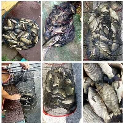 fish_pay_d0096_034402_23233.jpg