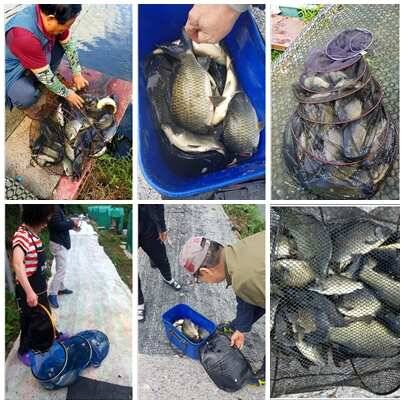 fish_pay_fe5df_034426_87814.jpg