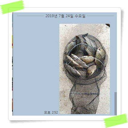 붕어낚시 힐링 양평 수곡낚시터 7월 25일 조황 및 붕어 방류 안내드립니다 (유료터정보 - 유료터점주조황)
