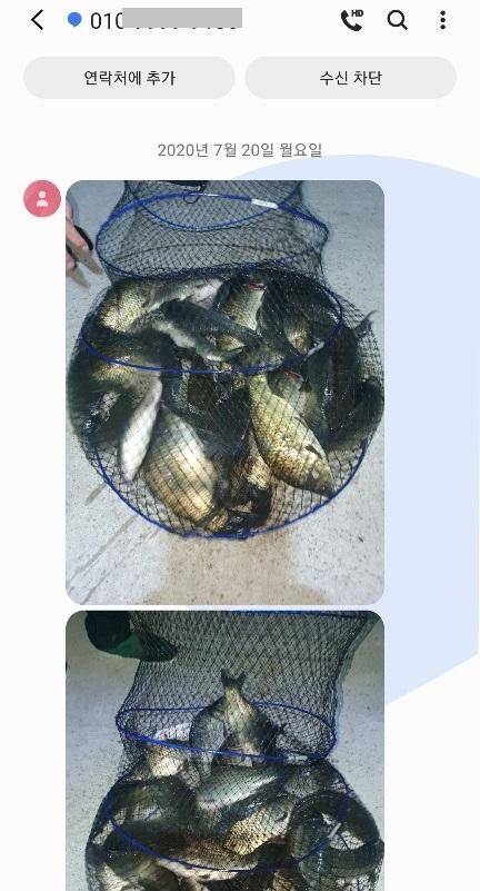 힐링 붕어 양평낚시터 수곡낚시터 월요일 조황 금일 방류 완료 (유료터정보 - 유료터점주조황)