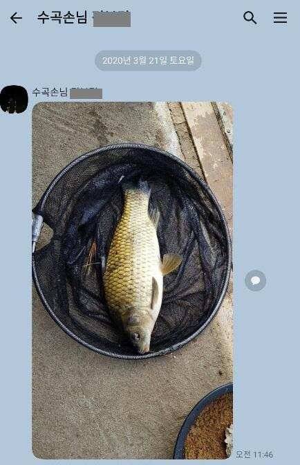 양평 수곡낚시터 2020 open 및 주말조황붕어방류 안내 (유료터정보 - 유료터점주조황)
