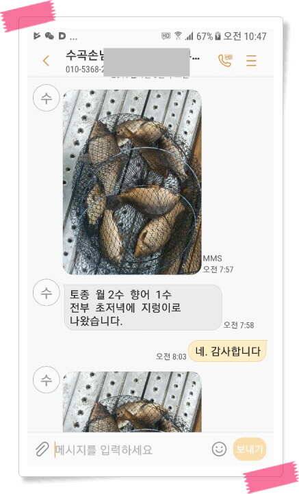 수곡낚시터 주중 조황 및 붕어 방류 안내 (유료터정보 - 유료터점주조황)