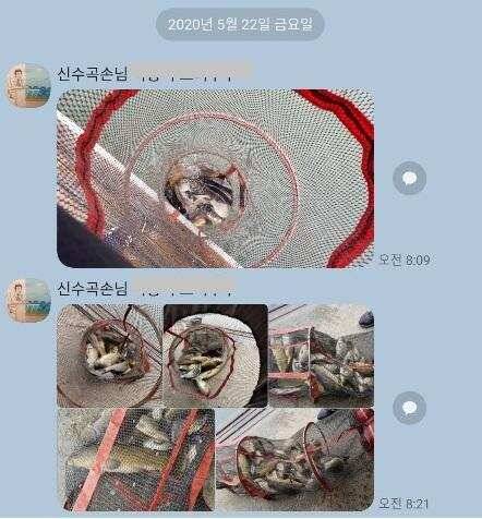 양평낚시터 수곡낚시터 주중조황 고른편이나 편차는 있네요 (유료터정보 - 유료터점주조황)