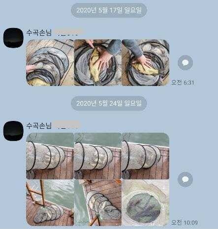 수곡지 양평 수곡낚시터 5월네째주 주말 조황 입질시간대 파악이 중요한듯합니다 (유료터정보 - 유료터점주조황)