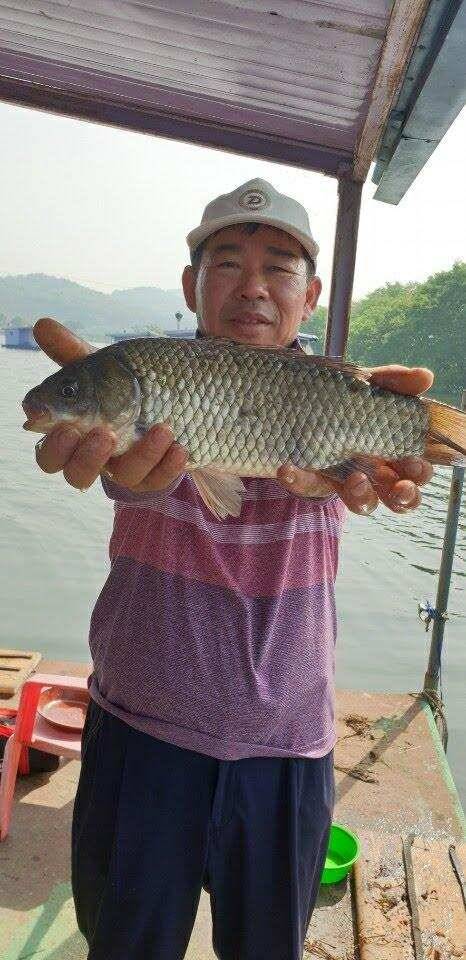 아산 안골지 4짜 소식 연속입니다 (유료터정보 - 유료터점주조황)