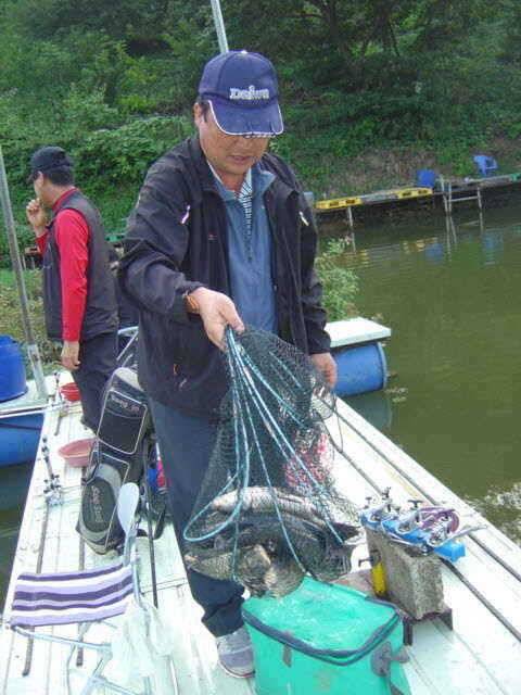9월 첫 주말조황입니다 (유료터정보 - 유료터점주조황)