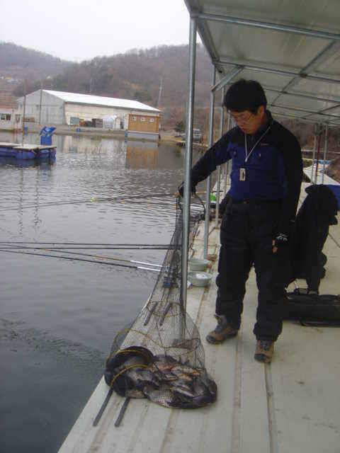 비바람과 황사를 뚫고 (유료터정보 - 유료터점주조황)