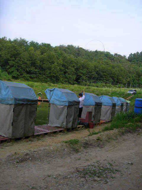 6월 네번째 조황 (유료터정보 - 유료터점주조황)