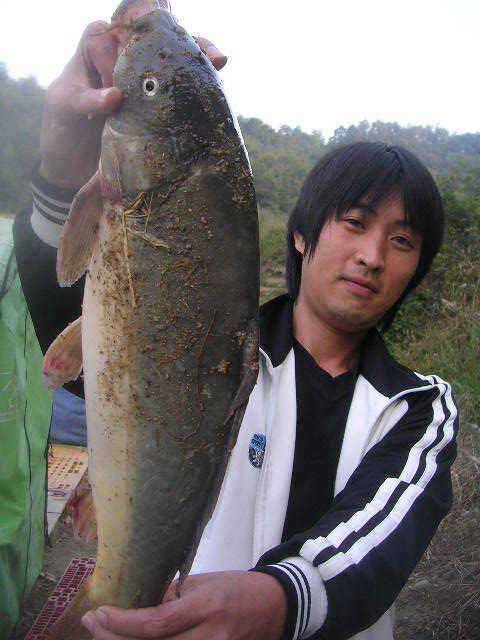 대물잔치는 계속됩니다 (유료터정보 - 유료터점주조황)