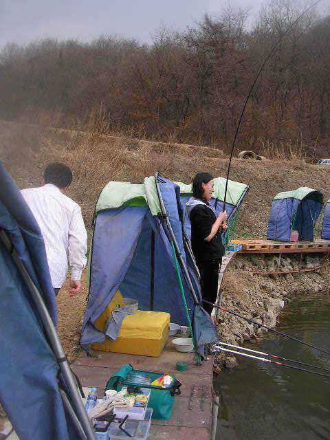 봄의 기지개 (유료터정보 - 유료터점주조황)