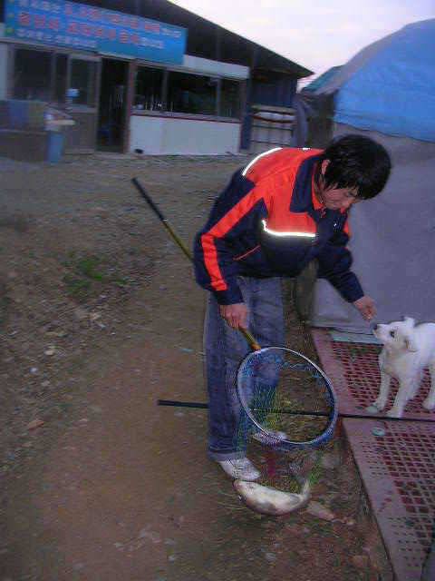 대물낚시 끝나지 않았지요 (유료터정보 - 유료터점주조황)