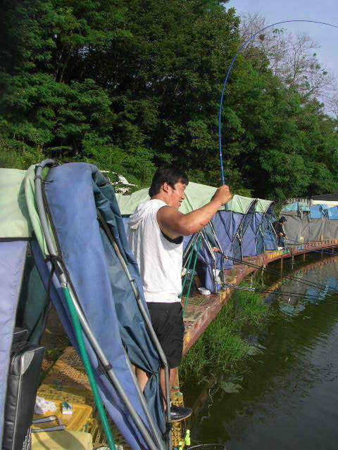 괴기한테 지면 안돼요 (유료터정보 - 유료터점주조황)