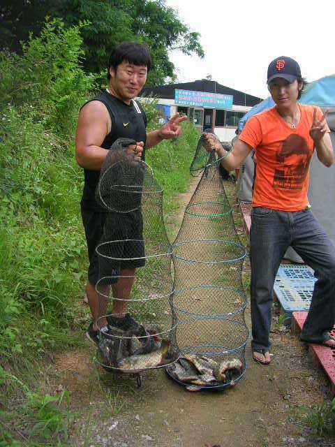 괴기한테 지면 안돼요 (유료터정보 - 유료터점주조황)