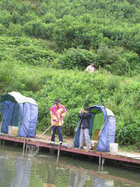 7월 네번째 조황 (유료터정보 - 유료터점주조황)