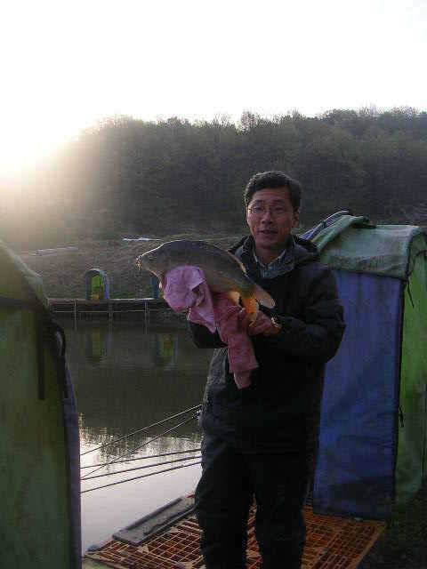 도화桃花 만발하고 (유료터정보 - 유료터점주조황)
