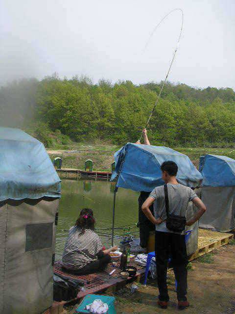 5월 두번째 조황 (유료터정보 - 유료터점주조황)