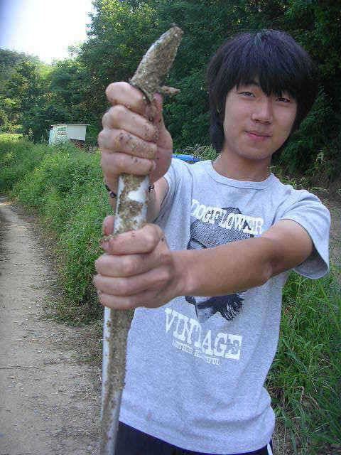 벌써 가을이네요 (유료터정보 - 유료터점주조황)