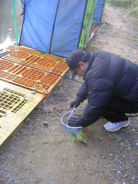포인트의 이동 (유료터정보 - 유료터점주조황)