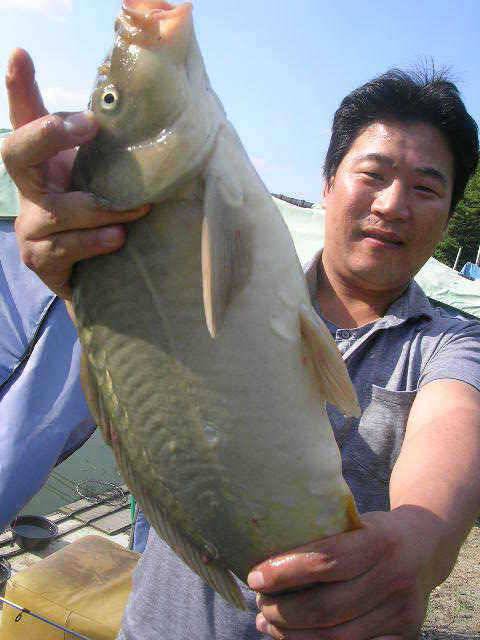 포인트의 이동 (유료터정보 - 유료터점주조황)
