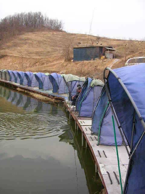 이제부터 시작 (유료터정보 - 유료터점주조황)