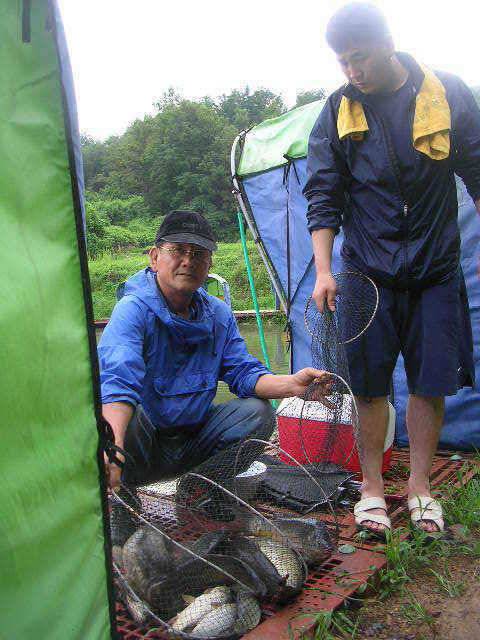 대박은 온다 (유료터정보 - 유료터점주조황)