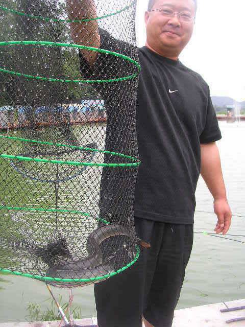 1m 이상 또는 1kg 이상의 장어를 낚는다면 (유료터정보 - 유료터점주조황)