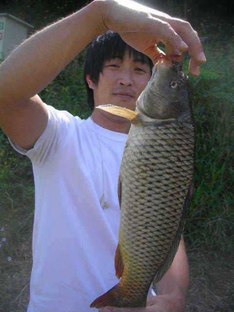 대짜7짜9짜걸이 하세요 (유료터정보 - 유료터점주조황)