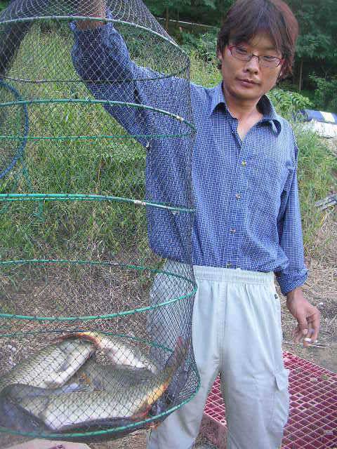 2008년 최고의 대박 (유료터정보 - 유료터점주조황)