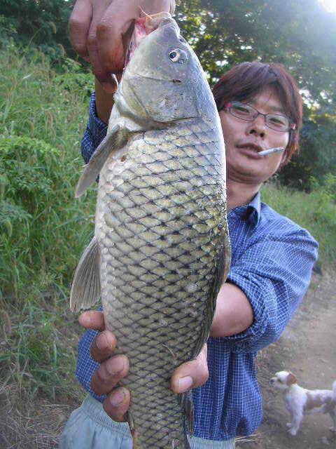 2008년 최고의 대박 (유료터정보 - 유료터점주조황)