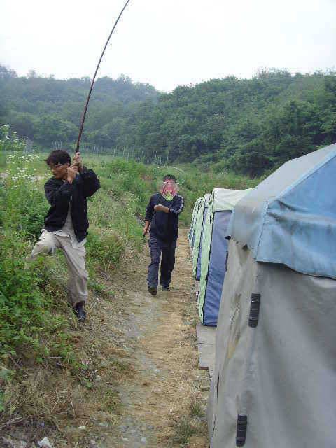 6월 두번째주 조황은 굿 (유료터정보 - 유료터점주조황)