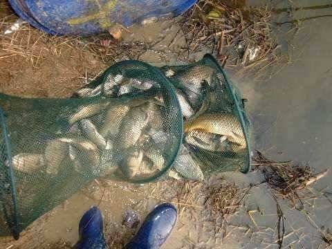 4짜를 토해내는 저력 (유료터정보 - 유료터점주조황)