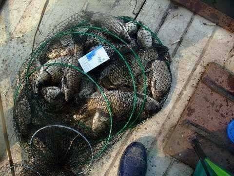 4짜를 토해내는 저력 (유료터정보 - 유료터점주조황)
