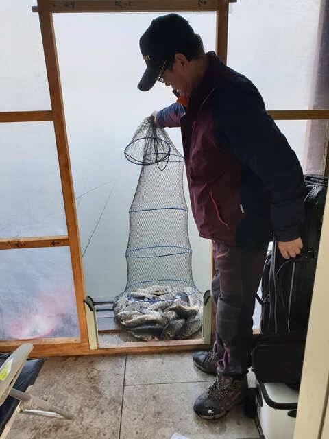 물 맑고 힘 좋은 용인 삼인 낚시터 조황용인 삼인낚시터 (유료터정보 - 유료터점주조황)