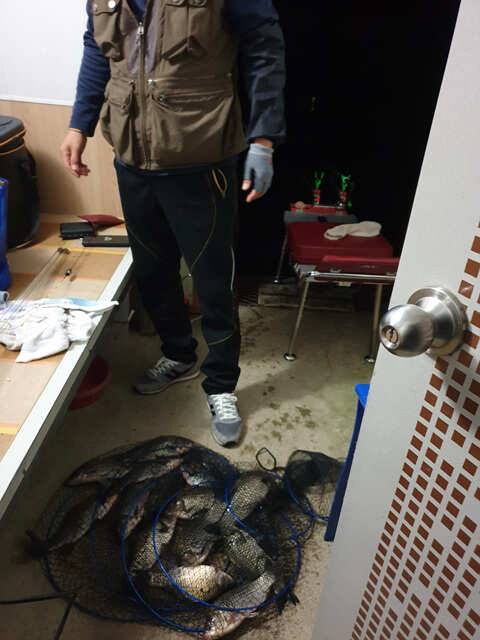 물 맑고 힘 좋은 용인 삼인 낚시터 조황용인 삼인낚시터 (유료터정보 - 유료터점주조황)