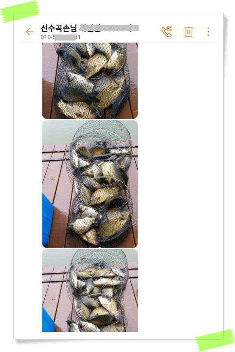 좌대낚시 노지낚시 양평 수곡낚시터 꾸준하고 고른조황 좋습니다 오늘 붕어 방류 마쳤습니다 (유료터정보 - 유료터점주조황)