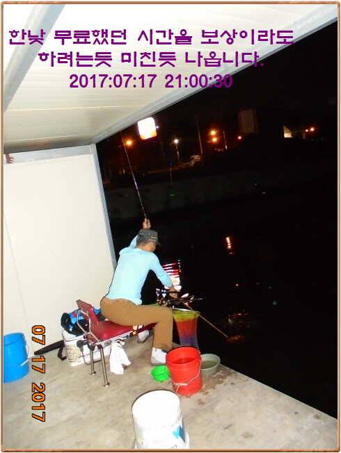 도심속의 작은 쉼터 화성 관리 낚시터입니다밤 밤 밤 대단합니다 (유료터정보 - 유료터점주조황)