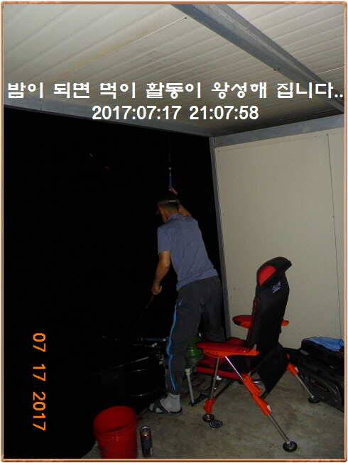 도심속의 작은 쉼터 화성 관리 낚시터입니다밤 밤 밤 대단합니다 (유료터정보 - 유료터점주조황)