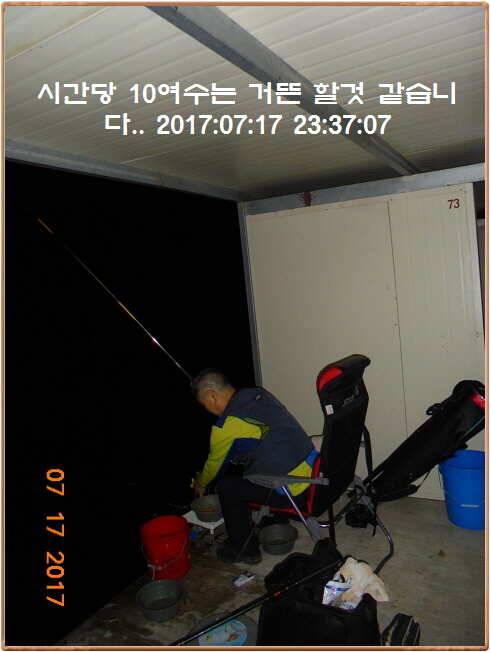 도심속의 작은 쉼터 화성 관리 낚시터입니다밤 밤 밤 대단합니다 (유료터정보 - 유료터점주조황)