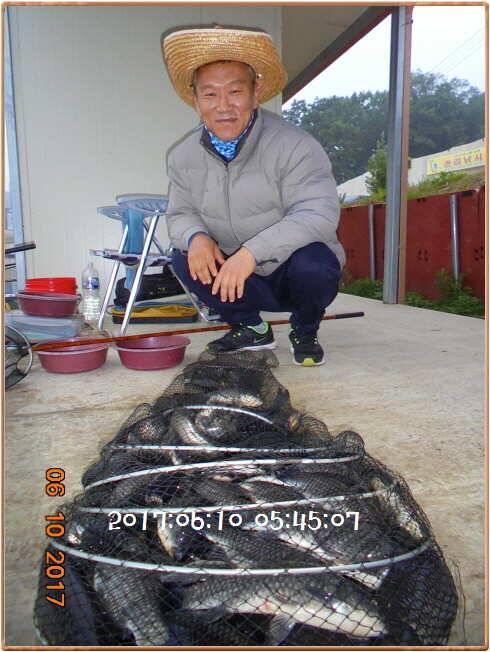 도심속의 작은 쉼터 화성 관리 낚시터입니다하루가 즐겁습니다 (유료터정보 - 유료터점주조황)
